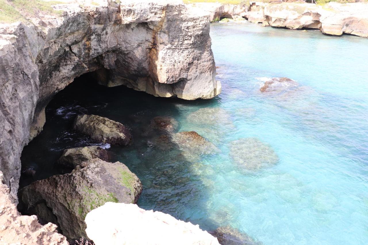 B&B Passione Del Sud Λέτσε Εξωτερικό φωτογραφία