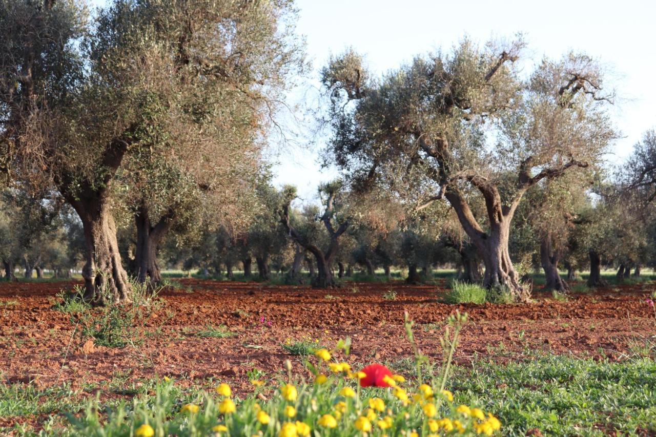 B&B Passione Del Sud Λέτσε Εξωτερικό φωτογραφία